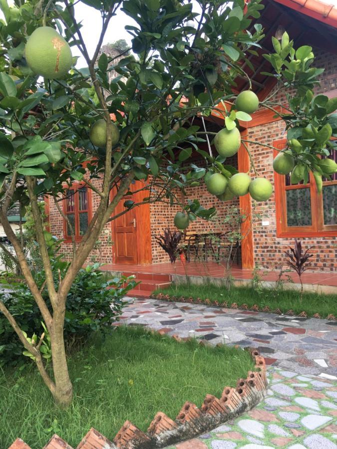 Tam Coc Thanh Dat Homestay Ниньбинь Экстерьер фото