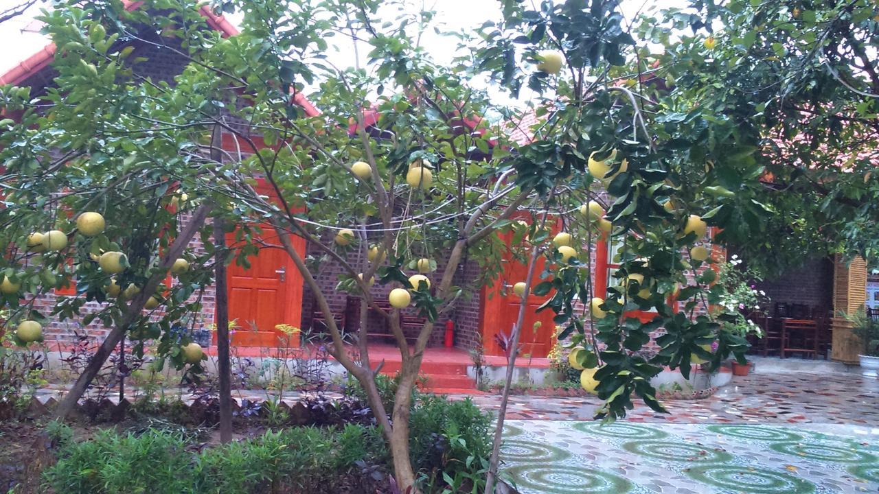 Tam Coc Thanh Dat Homestay Ниньбинь Экстерьер фото