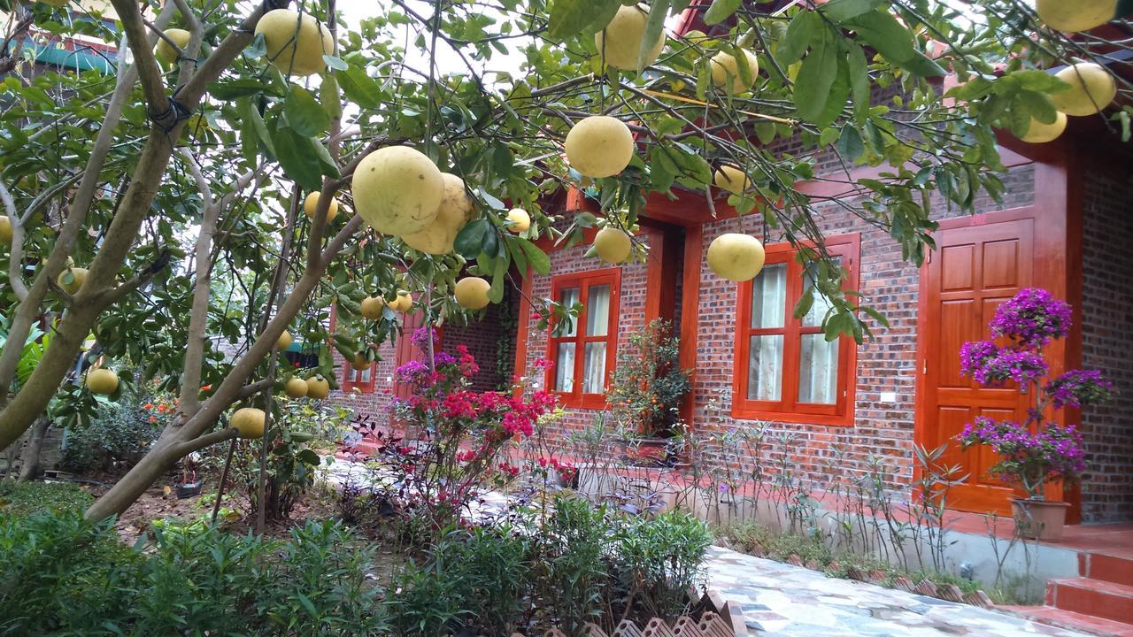 Tam Coc Thanh Dat Homestay Ниньбинь Экстерьер фото