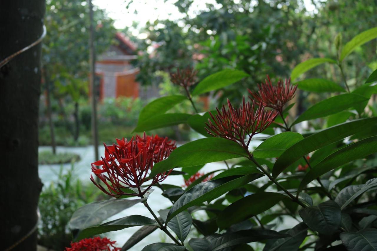 Tam Coc Thanh Dat Homestay Ниньбинь Экстерьер фото