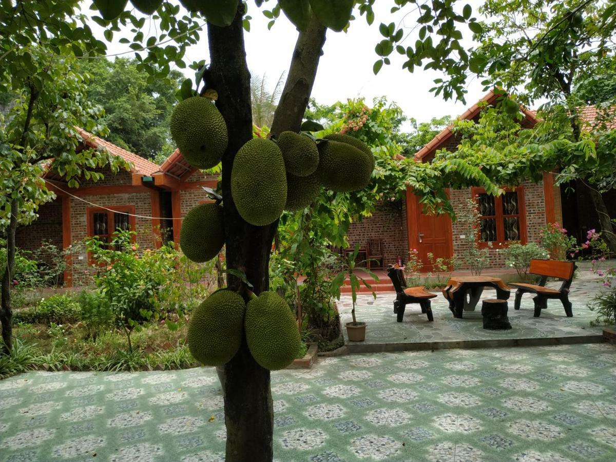 Tam Coc Thanh Dat Homestay Ниньбинь Экстерьер фото